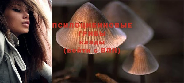 экстази Белокуриха
