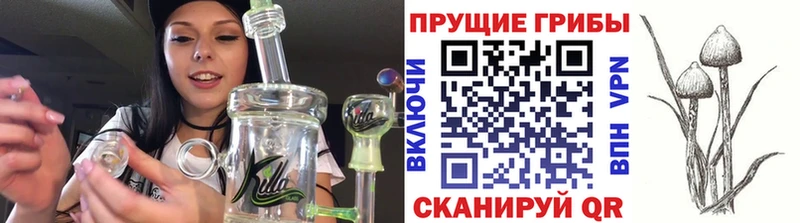 Галлюциногенные грибы прущие грибы  хочу   Полтавская 